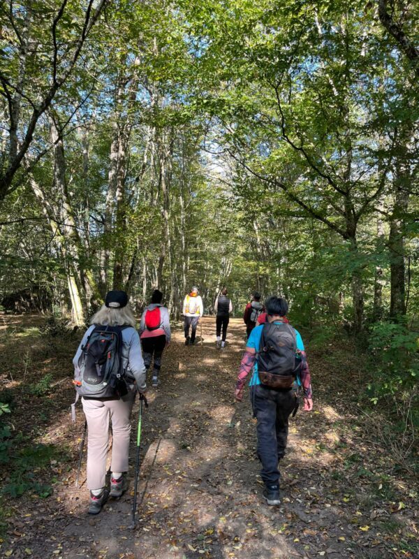 Stage Jeûne, Balades et Tourisme, Yoga, Méditation, Jacuzzi, Sauna - 07 septembre 2025